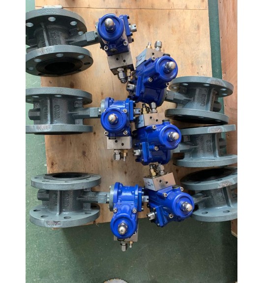 Industrial & Marine Valves